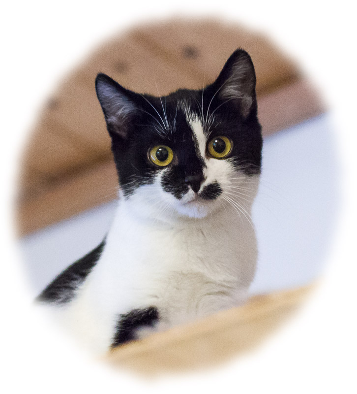 Porträt von Schnute